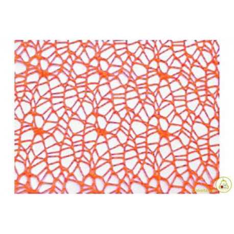Veli Polycotton Arancione Quadrati cm 24 pz 20 Veli Polycotton Arancione Quadrati cm 24 pz 20