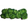 Rosa in carta cm 2 pz 10 colore verde Rosa in carta cm 2 pz 10 colore verde