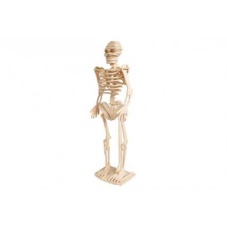 Puzzle 3D in legno tema Scheletro Umano Puzzle 3D in legno tema Scheletro Umano