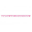Festone Il Mio Compleanno Rosa cm 285 x 20,5