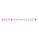 Festone Primo Compleanno Rosa cm 276 x 20
