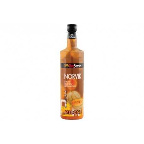 100 cl vodka e Melone Norvik 100 cl vodka e Melone Norvik