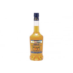 70 cl Liquore Brandy all'albicocca, Apricot Brandy Abricò