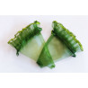 10 Coni cornucopia portaconfetti in organza verdi