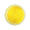 5 gr Colorante Giallo alimentare in polvere