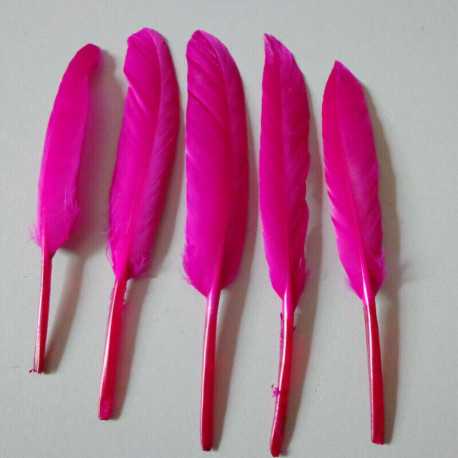 Confezione di 20 Piume d'oca fucsia alte da 8 fino a 15 cm Confezione di 20 Piume d'oca fucsia alte da 8 fino a 15 cm