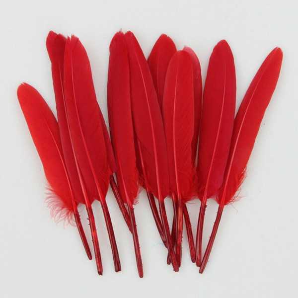 Vendita 20 Piume d'oca rosse da 8 - 15 cm