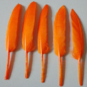 20 Piume d’Oca Arancioni 8–15 cm – Decorazioni Eleganti per Party e Feste