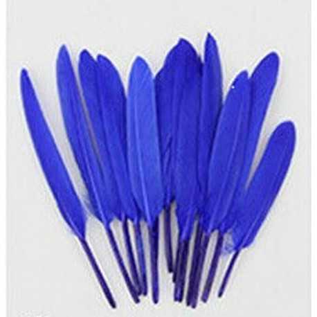 Confezione di 20 Piume d'oca Blu alte da 8 fino a 15 cm