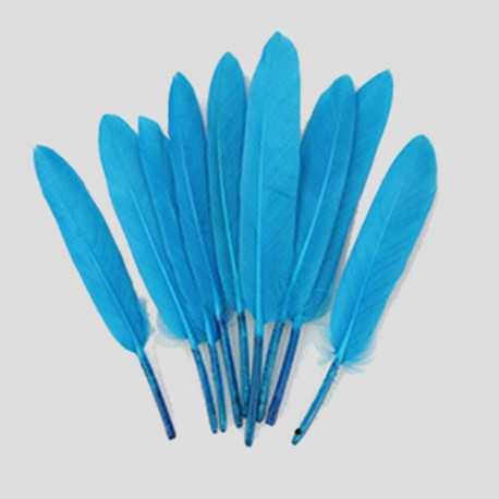 Confezione di 20 Piume d'oca Turchese alte da 8 fino a 15 cm Confezione di 20 Piume d'oca Turchese alte da 8 fino a 15 cm