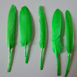 20 Piume d'oca Verde Bosco 8 - 15 cm