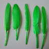 20 Piume d’Oca Verde Bosco 8–15 cm – Decorazioni Eleganti per Party e Feste