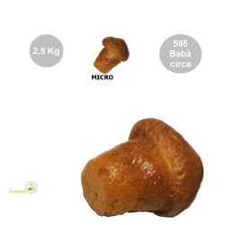 Babà Micro Secchi da Bagnare (2450 g) – 550 pezzi da 4,5 g (Pronti per Bagna e Farcitura)