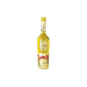 Liquore Strega Mignon 5cl 40% – Distillato di Benevento – Da Strega Alberti Benevento