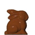 50 o 250 g Coniglio di cioccolato alto 8 o 17 cm stampo in policarbonato professionale