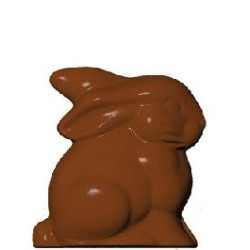 50 o 250 g Coniglio di cioccolato alto 8 o 17 cm stampo in policarbonato professionale