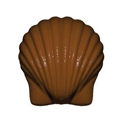 Stampo cioccolato Conchiglia Marina 10 g grande 34 x 33 x h 15 mm in policarbonato