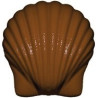 Stampo cioccolato Conchiglia Marina 10 g grande 34 x 33 x h 15 mm in policarbonato