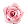 Decorazioni in Zucchero Rose grandi color Rosa da Decora