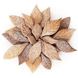 Voila' Cookie Leaves stampo T-Plus+ a forma di Foglie da 24 x 15 cm h 2 cm da Silikomart