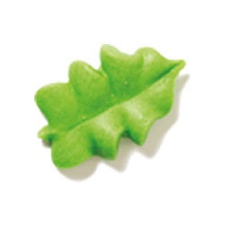 Set 12 decorazioni in zucchero a forma di foglioline di colore verde da Decora