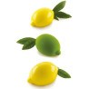 Stampo in silicone Limone da 120 ml in silicone Bianco con supporto in plastica da Silikomart Stampo in silicone Limone da 120 ml in silicone Bianco con supporto in plastica da Silikomart