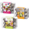 Da 1 a 3 cofanetto con 12 cornetti per fiori 3D diretti in acciaio inox da Decora Da 1 a 3 cofanetto con 12 cornetti per fiori 3D diretti in acciaio inox da Decora