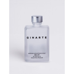 Ginarte Gin Dry Mignon cl 5