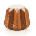 Verona 1/2 Kg: stampo pandoro in Tplus X antiaderente da 500 g di Silikomart