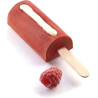 Set 2 Stampi mini Gelati Chic in silicone Top White + 2 vassoi in ABS + 100 bastoncini legno di faggio, da Silikomart.