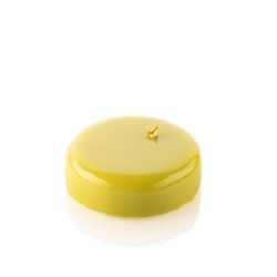 Tor ø100xh30 mm Silikomart: stampo tondo in silicone bianco con bordi arrotondati