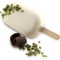 Set 2 Stampi gelato Mini Classic da Silikomart + 2 Vassoi + 100 bastoncini stecco in legno di faggio