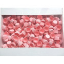 Pirottini Mini Bon Bon Rosa in Carta Forno (Ø2×H1,5cm) – Per Dolcetti e Confetti (1000/5000 Pz)