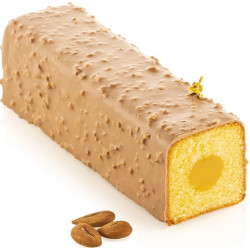 Kyoto 800 Silikomart (23×6×H6cm) – Stampo Antiaderente in T-Plus+ con Inserto