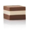 CH015 Kit Quadro 01: Stampo Tritan Forma quadrato 24 Cioccolatini da Silikomart