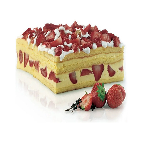 Rettangolo in silicone SFT300 di Silikomart: teglia rettangolare di 28 x 22 cm ed altezza 4 cm ,
