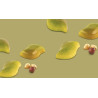 Riflesso P CH039 Chocado Silikomart; stampo in Tritan per cioccolatini 24 praline 44x28 h 15 mm Riflesso P CH039 Chocado Silikomart; stampo in Tritan per cioccolatini 24 praline 44x28 h 15 mm