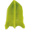 Cornetto foglia con nervatura frastagliata n 5 per fori 3D diretti in acciaio inox da Decora Cornetto foglia con nervatura frastagliata n 5 per fori 3D diretti in acciaio inox da Decora