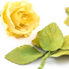 Tagliapasta per rose Decora: set 7 cutter in plastica per rose con sepalo Tagliapasta per rose Decora: set 7 cutter in plastica per rose con sepalo