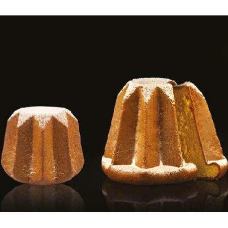 1/2 o 1 Kg Verona Silikomart stampo pandoro antiaderente in T-plus X