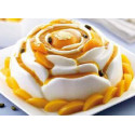 Rose Silikomart stampo silicone con anello per torte rose da 22x10 cm