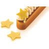 Set 2 sampi in silicone Star Chablon per 40 Chablon stella 3 cm da Silikomart