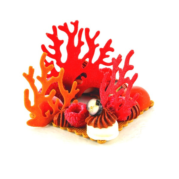 Corallo Silikomart: stampo in silicone giallo per 21 coralli di due dimensioni linea Naturae