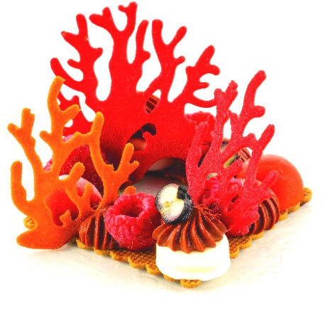 Corallo Silikomart: stampo in silicone giallo per 21 coralli di due dimensioni linea Naturae Corallo Silikomart: stampo in silicone giallo per 21 coralli di due dimensioni linea Naturae