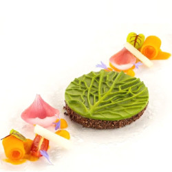 Stampo in Silicone Verza 12 – 12 Cavità – Silikomart Professional – Colore Giallo