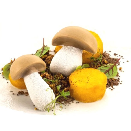 Porcino Silikomart stampo silicone giallo 8 preparazioni porcino piccolo e 8 preparazioni porcino grande, linea Naturae Porcino Silikomart stampo silicone giallo 8 preparazioni porcino piccolo e 8 preparazioni porcino grande, linea Naturae