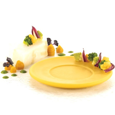 Piatto 80 Silikomart stampo silicone giallo 6 preparazioni piattino o piatto piano, linea Naturae Piatto 80 Silikomart stampo silicone giallo 6 preparazioni piattino o piatto piano, linea Naturae
