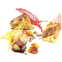 Stampo in Silicone Piuma – 20 Cavità – Silikomart Professional – Colore Giallo