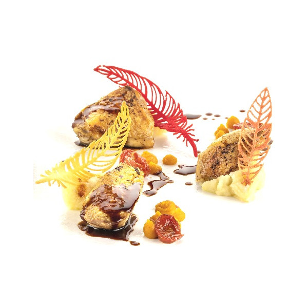 Piuma Silikomart stampo silicone giallo 20 decori piume di due dimensioni, linea Naturae