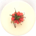 Stampo Pomodoro 24 in Silicone giallo da Silikomart Linea Naturae